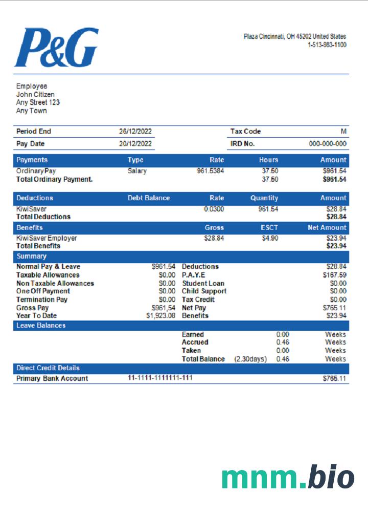 USA Procter & Gamble consumer products company pay stub